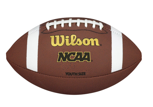 NCAA TDY Composite Game Football