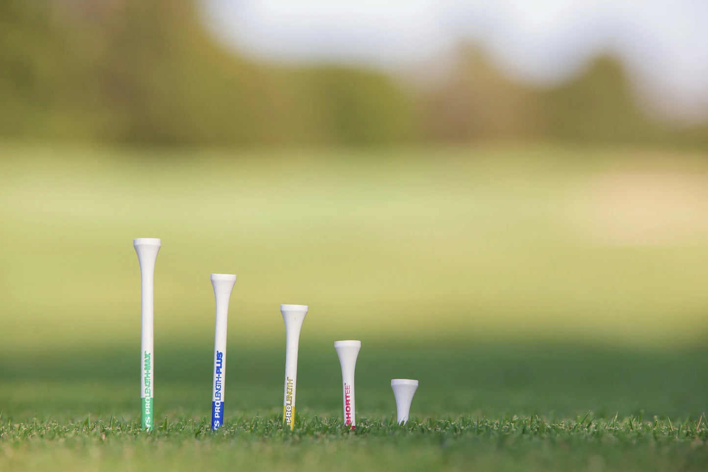 (PTS) – Color-Coded Hardwood Golf Tees, 3 1/4" Length, 75 Count, Durable Natural Wood for Consistent Setup